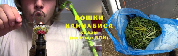 прущий лед Нея