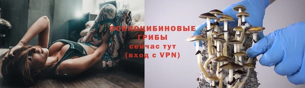 прущие грибы Верхнеуральск