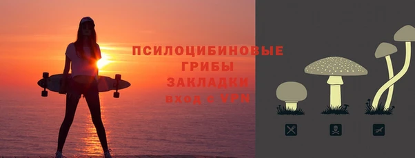 прущие грибы Верхнеуральск