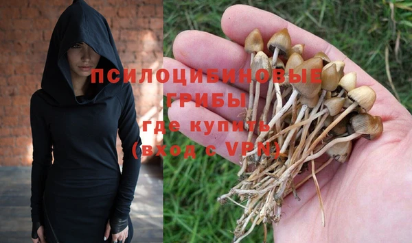 прущие грибы Верхнеуральск