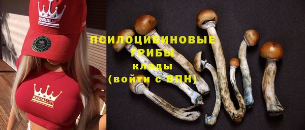 гидропоника Верея