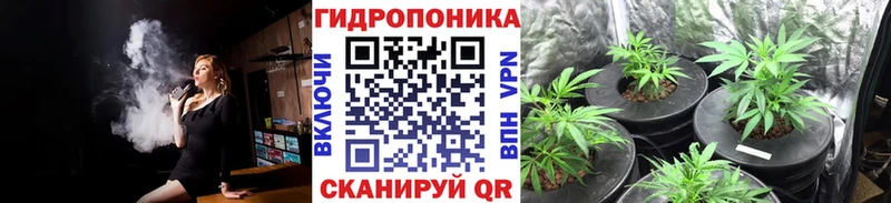 Шишки марихуана AK-47 дарнет шоп Орехово-Зуево